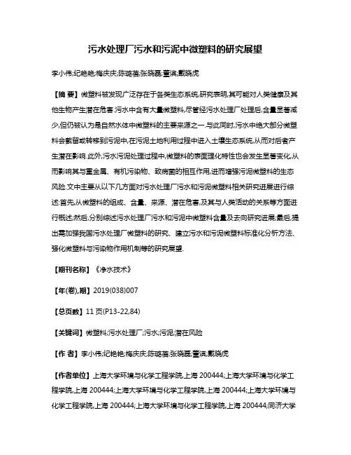 污水处理厂污水和污泥中微塑料的研究展望