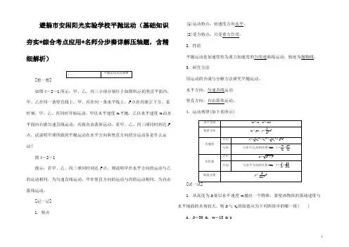 高考物理轮精细复习 (压轴题)平抛运动(含解析)