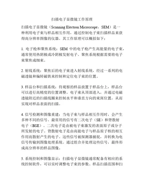 扫描电子显微镜工作原理