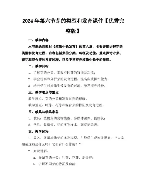 2024年第六节芽的类型和发育课件【优秀完整版】