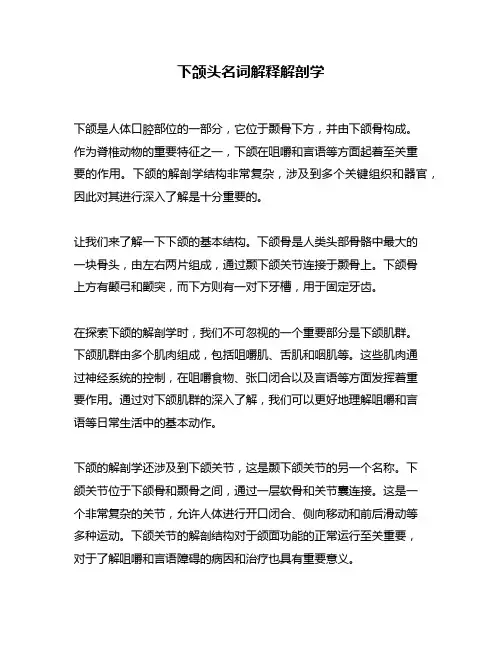 下颌头名词解释解剖学