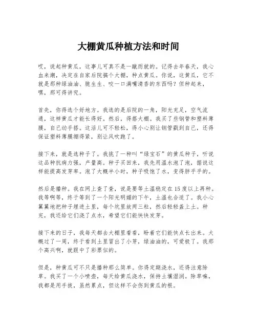 大棚黄瓜种植方法和时间