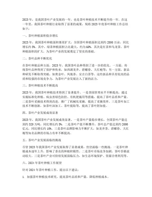 种植茶叶年度总结