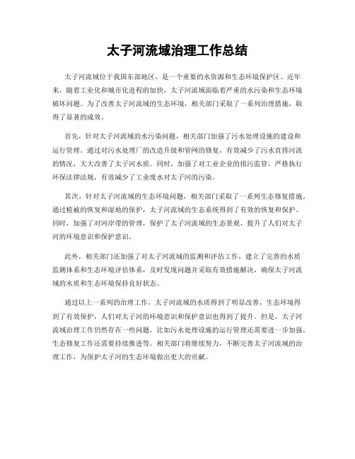 太子河流域治理工作总结