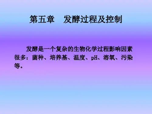 微生物工程 第5章 发酵过程及控制