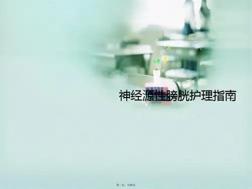 神经源性膀胱护理指南