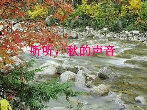 《听听_秋的声音》课件(人教新课标三年级语文上册课件).ppt