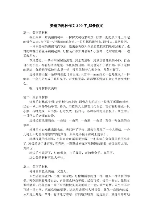 美丽的树林作文300字_写景作文