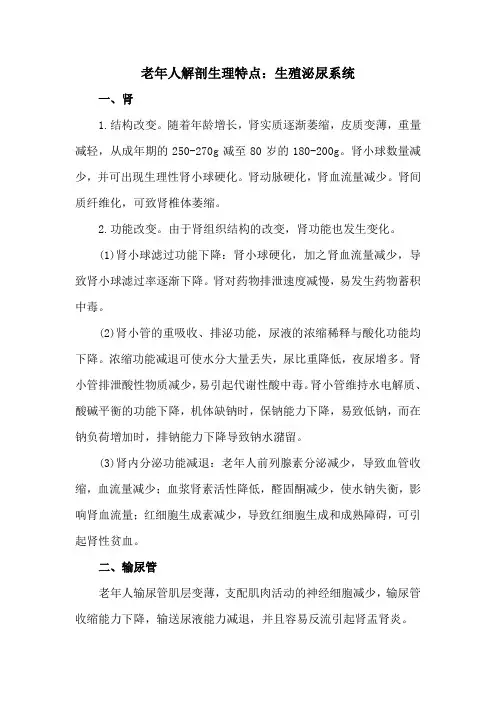 老年人解剖生理特点：生殖泌尿系统