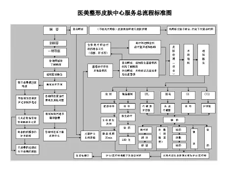 医美整形皮肤中心服务总流程标准图