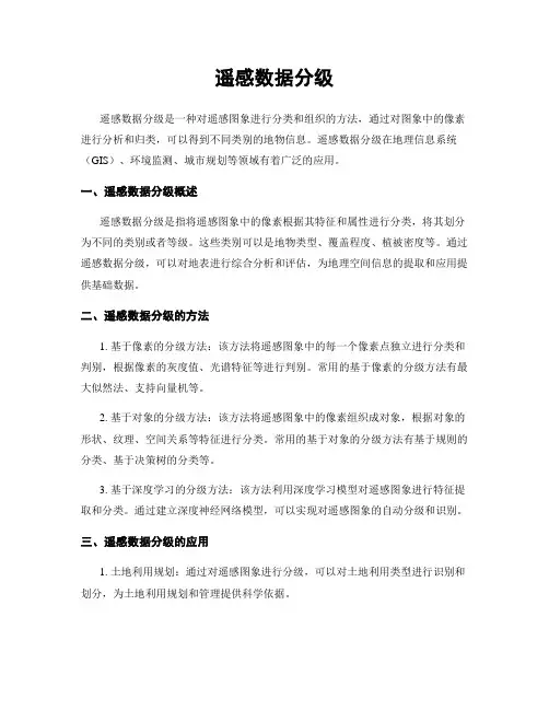 遥感数据分级