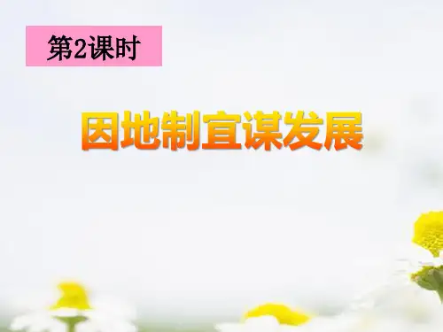 人教版历史与社会九年级下册 (因地制宜谋发展)共同面对前所未有的挑战教学课件