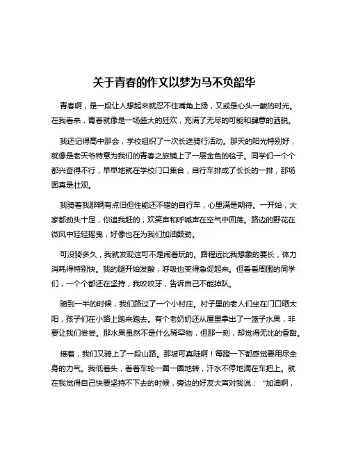 关于青春的作文以梦为马不负韶华