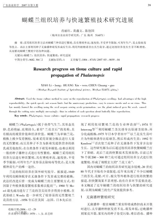 蝴蝶兰组织培养与快速繁殖技术研究进展