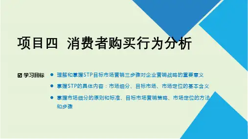 项目五  STP目标市场营销战略