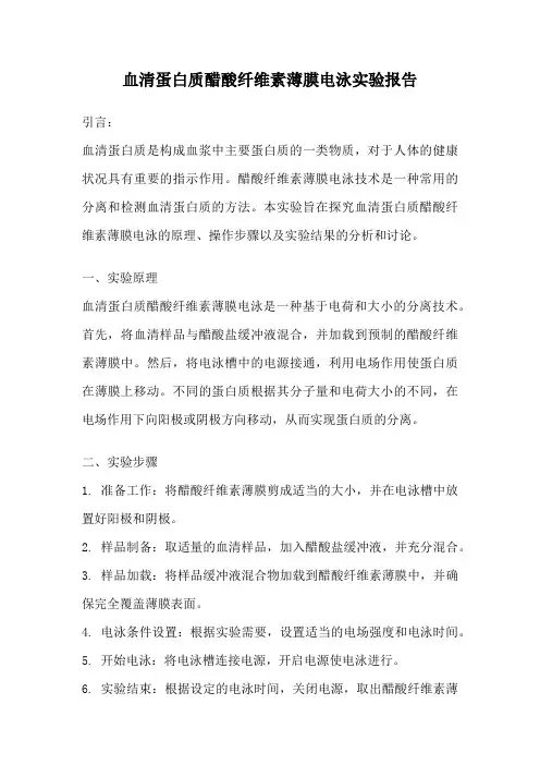 血清蛋白质醋酸纤维素薄膜电泳实验报告