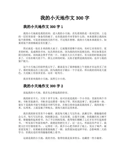 我的小天地作文300字