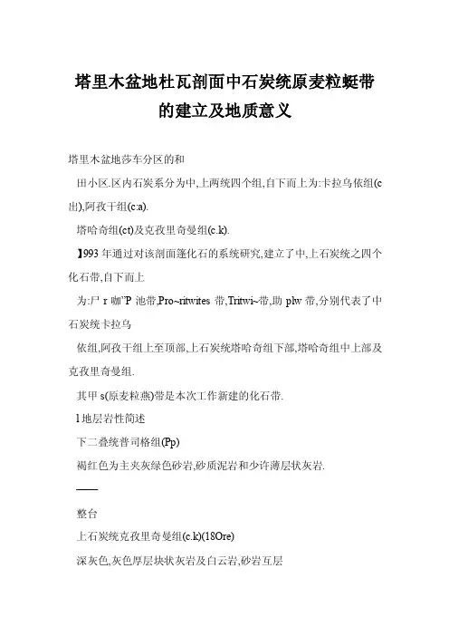 塔里木盆地杜瓦剖面中石炭统原麦粒蜓带的建立及地质意义