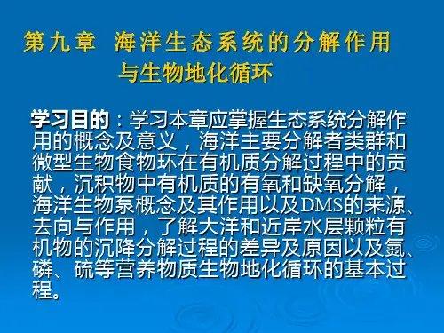 第九章  海洋生态系统的分解作用与生物地化循环