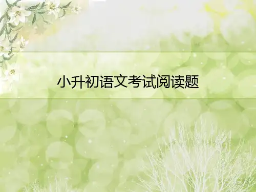 六年级下语文课件 小升初语文考试阅读辅导 全国通用(共47张PPT)【推荐】
