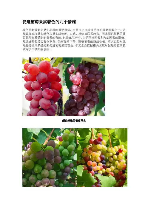 促进葡萄果实着色的九个措施