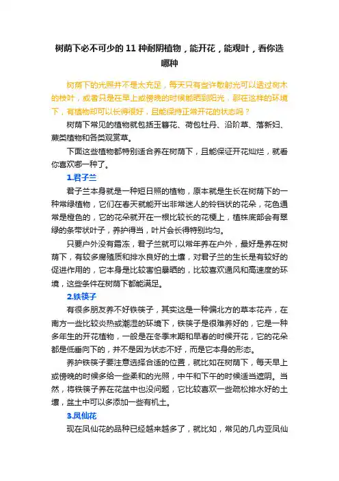 树荫下必不可少的11种耐阴植物，能开花，能观叶，看你选哪种