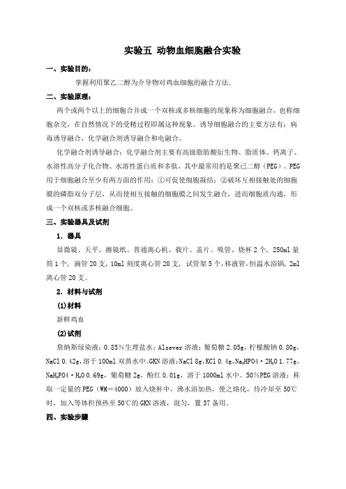 实验五 动物血细胞融合实验