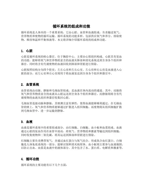 循环系统的组成和功能
