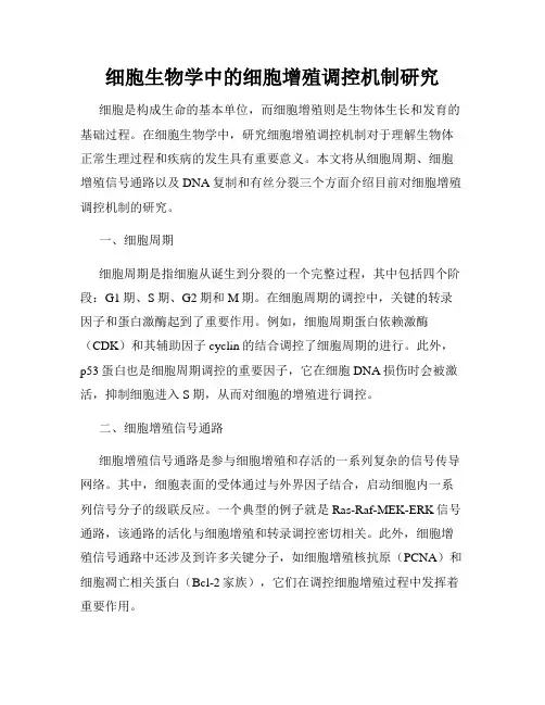 细胞生物学中的细胞增殖调控机制研究