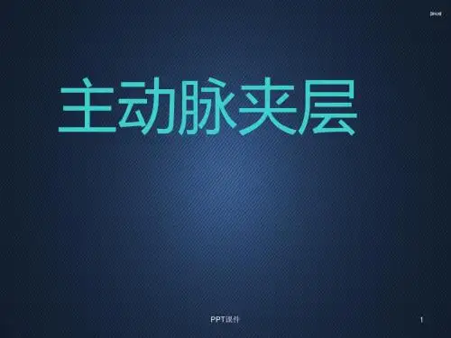 主动脉夹层  ppt课件