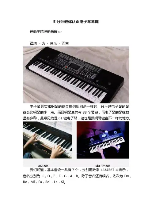 5分钟教你认识电子琴琴键