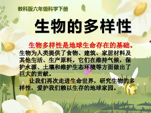 教科版六年级科学下册1校园生物大搜索(课件)