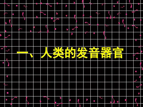人体发音原理