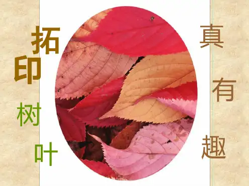 人美版三年级美术上册拓印树叶真有趣课件