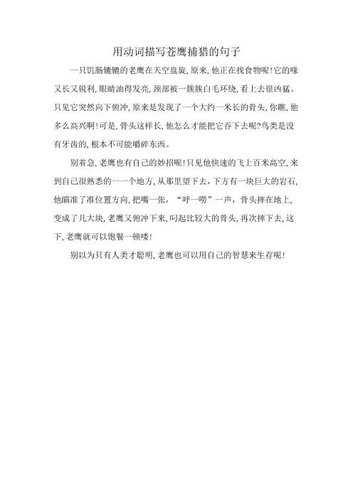 用动词描写苍鹰捕猎的句子