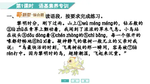三年级语文上册23 父亲、树林和鸟课件