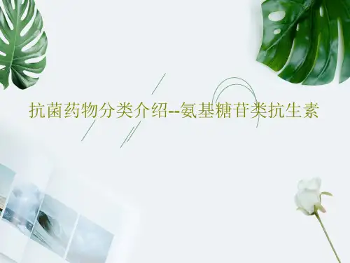 抗菌药物分类介绍--氨基糖苷类抗生素共32页文档