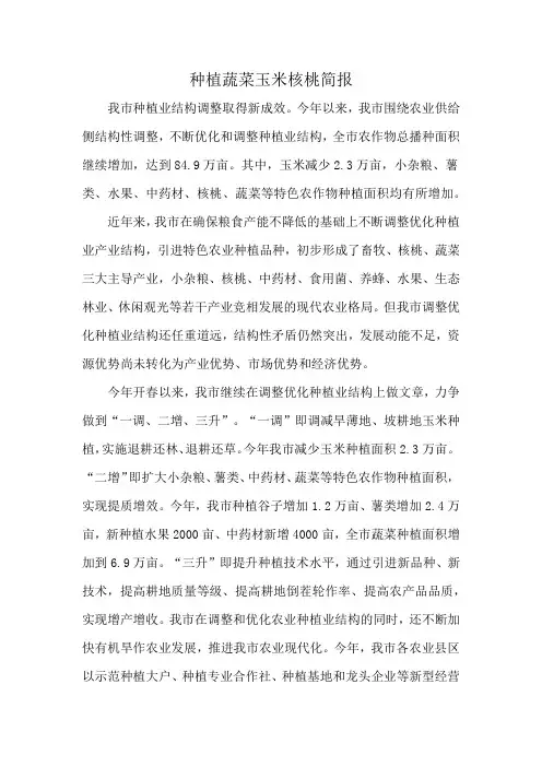 种植蔬菜玉米核桃简报