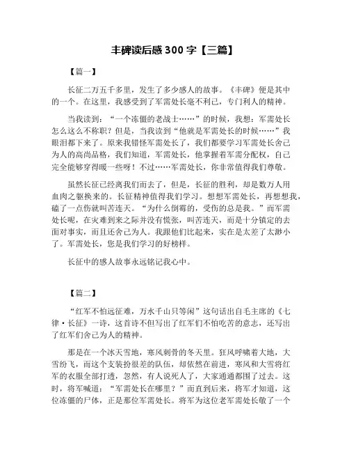 丰碑读后感300字【三篇】