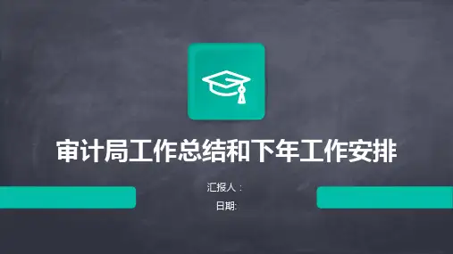 审计局工作总结和下年工作安排