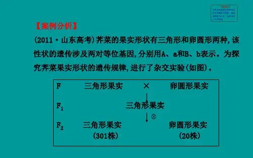 实验案例探究五遗传图解类实验共24张PPT