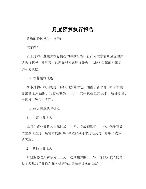 月度预算执行报告