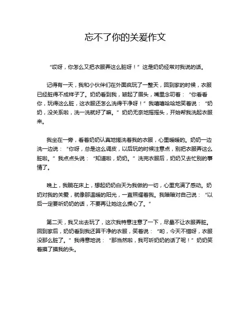 忘不了你的关爰作文