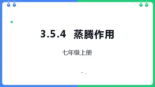 《蒸腾作用》PPT