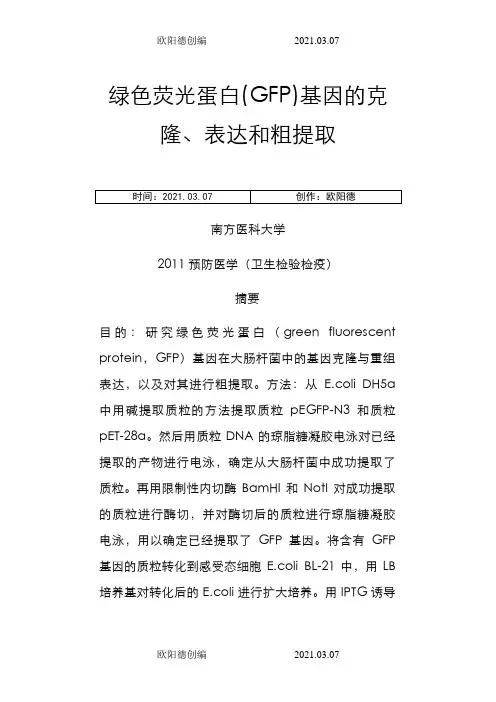 绿色荧光蛋白(GFP)基因的克隆、表达和粗提取之欧阳德创编