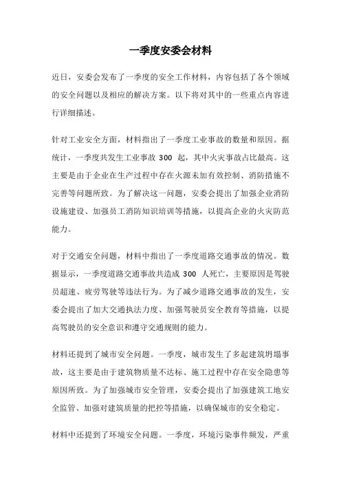 一季度安委会材料