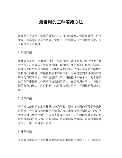 最常用的三种嫁接方法