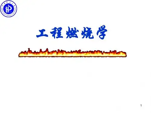 燃烧第九章
