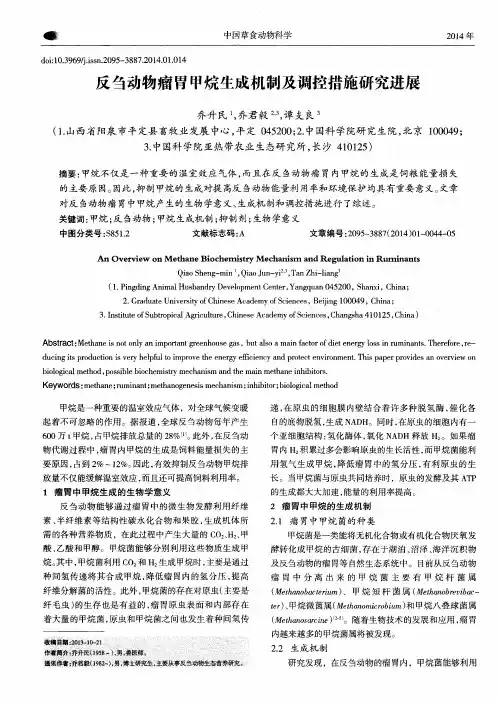 反刍动物瘤胃甲烷生成机制及调控措施研究进展