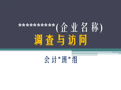 调研报告PPT模板